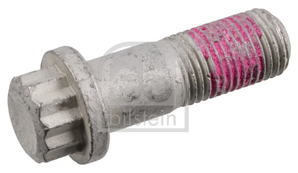 Bolt, brake caliper